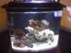REEF 9-20 014.jpg