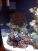 reef 11-23 009.JPG