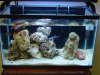 DSC04504.jpg