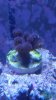 20150425_121518.jpg