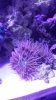 20150503_105817.jpg
