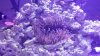 20150503_105708.jpg