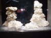 30gal reef.jpg