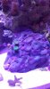 20150518_144800.jpg