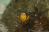 DSC04315.JPG