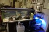 DSC04325.JPG
