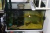 DSC04304.JPG