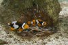 DSC04314.JPG