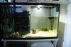 DSC04281.JPG