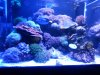 20150627_221929.jpg
