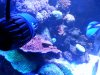 20150627_221959.jpg