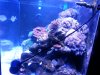 20150627_221913.jpg
