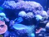 20150627_221807.jpg