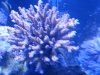 20150627_221655.jpg