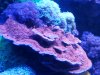 20150627_221716.jpg