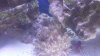 20150704_151147.jpg