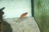 DSC04434.jpg