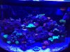 45G4.jpg