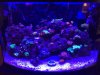 45G5.jpg