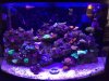 45G8.jpg