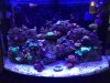 45G9.jpg