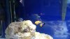 20150715_193728.jpg