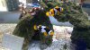 IMAG0129.jpg