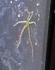 20150726_094730.jpg