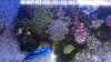 IMAG0144.jpg