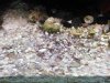 IMG_20150812_185118.jpg