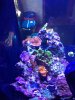 IMG_0093.JPG