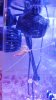 20150827_170201.jpg