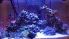 20150827_175204.jpg