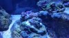 20150907_144752.jpg