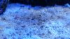 20150924_192435.jpg