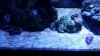 20150924_192354.jpg