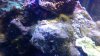 IMAG0211.jpg