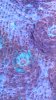 20151002_163034.jpg