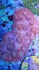 20151002_163042.jpg