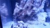 20151002_212412.jpg