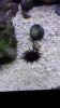20150822_234200.jpg