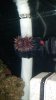 20151008_225531.jpg