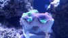 20151014_153523.jpg