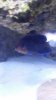 20151101_170754.jpg