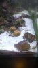 WP_20151109_005.jpg