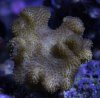 _DSC0688.JPG