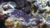 20151123_172828.jpg