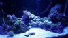 20151121_205501.jpg