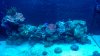 IMG_20151125_102630858.jpg