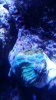 20151127_143641.jpg